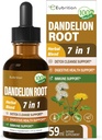 Dandelion Root Extract Drops, Diente de Leon Organico Hierba, Dandelion Supplement Formula w/Milk Thistle Turmeric for Detox Cleanse, Digestion &amp; Immune Support, Alcohol-Free Tincture. 2oz