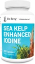 Dr. Berg Sea Kelp Iodine mejorado - 200 mcg de Iodine Premium - Seaweed Blend Incluye Klamath Blue-Green Algae & Sea Kelp - 90 cápsulas
