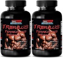 píldoras para hombres sexo largo y fuerte - TRIBULUS TERRESTRIS EXTRACT 1000MG - MUSCLE STRENGTH, impulsor de fertilidad masculina, píldoras libido masculinas, píldoras sexuales masculinas, realce masculino, impulsor de resistencia, 2B 120 Tablets
