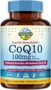 Terranics CoQ10 100mg, 120 Softgels, Absorción con aceite de oliva virgen extra, salud cardíaca y producción de energía