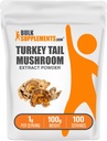 BulkSupplements.com Turquía Tail Mushroom Extract Powder - Coriolus Versicolor Extract, Mushroom Supplement - Vegan & Gluten Free, 1g per Serving, 100g (3.5 oz) (Pack of 1)