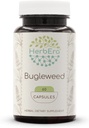 HerbEra Bugleweed 60 cápsulas, 400 mg, Hecho con Bugleweed (Lycopus Virginicus) Herb seco (60 cápsulas)
