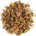 Herb Orgánica de Saint Jhon - Hypericum Perforatum - St Jhons Wart - Jhon St Johns Wort Tea St John S Wort Tea St John Wart Tea St John Tea St John Tea St John Wort Herb Orgánica Saint Johns Wort Herb