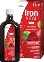 Hübner Iron Vital Liquid Iron Supply Plus Vitamina C, Suplemento dietético para adultos y niños, Vegan y Sin gluten, Sabor de frutas, 250 ml Botella, 25 Servimientos