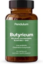 Pendulum GI Repair | A Probiotics Supplement and Men - Increases Butyrate, Improves Gut Health, Relieves Occasional GI Discomfort, Bloating, & Diarrhea. Contains Clostridium Butyricum, 30 Count