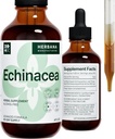Echinacea 4 fl oz Líquido Extracto - Orgánica Cuerda, Flor, Semilla - Suplemento Natural Herbal - Cuerpo, Sistema Inmunitario Soporte Tintura - Alta Potency Drops - 90-Day Supply - Tamaño de la familia