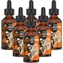 Liposomal Mushroom Complex Drops 2000 MG - 20 extractos orgánicos de hongos - Advanced Liquid Formula for Immunity, Cognitive and Memory - Lions Mane Supplement, Reishi, Cordyceps, Chaga, 180 Servings