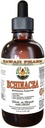 Extracto líquido libre de alcohol, Echinacea orgánica (Echinacea Purpurea) Herb seco Glycerite Hawaii Pharm Natural Herbal Suplemento 4 oz