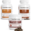 Real Mushrooms Reishi & Cordyceps for Humans &amp; Mushroom Pet Relax Chews - Bundle for Relaxation, Energy & Immunity - Vegan, Non-GMO, Gluten-Free, Grain-Free Mushroom Extract Suplementos