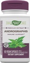 Extract Andrographis, Immune Support*, 300 mg Andrographis Extract per serving, 60 cápsulas