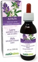 Naturalma Alfalfa o Lucerna (Medicago Sativa) hierba con Flores Tintura libre de alcohol - Rico en clorofil natural - 4 fl oz Extracto líquido en gotas - Suplemento herbal - Vegan