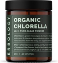 Erbology Organic Chlorella Powder 3.2 oz - 45 Servings - Sosteniblemente Fuente en España - Body Cleansing and Immunity Support - Rich in Chlorophyll, B Vitamins, Iron and Phosphorus - Vegan - GMO-Free