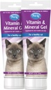 PetAg Vitamina &amp; Mineral Gel Suplemento para gatos - 3.5 oz, Pack de 2 - Proporciona vitaminas diarias básicas &amp; minerales para gatos 4 meses y más viejo - fácil de digerir