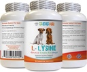 Suplementos de Aminoácidos Perros - Pólvora LYSINE Perro - Formulario de pólvora puro - Soporte de sistema inmunitario - Vet Recomendado - perros lisinos - 1 Botella (8oz 226.8 Grams)