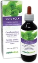 Naturalma Gotu kola (Centella asiatica) hierba Alcohol-Free Tintura - 6.76 fl oz Liquid Extract in Drops - Herbal Supplement - Vegan