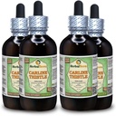Carline Thistle (Carlina acaulis) Glycerite, Dried Roots Alcohol-Free Liquid Extract (Marca: HerbalTerra, Proudly Made in USA) 4x4 fl.oz (4x120 ml)