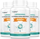 Orgabay Liposomal NAD+ Suplemento 500 mg, Alta Absorción, Boost NAD+ con TMG 250 mg, Actual NAD Plus Más Eficiente que Nicotinamide Riboside, Apoyo Energía Celular, Envejecimiento Saludable 180 Softgels