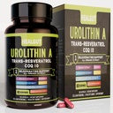 Urolithin A Supplement for Urban Working Women: Anti-Aging Capsules with Trans-Resveratrol and CoQ10 - USA Lab Verified Support Healthy Aging and Cellular Renewal(9in1)