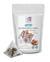 vitaminas respiratorias - RESPIRATORIA Y LUNG APOYO TEA 14 Días con canela, Hibiscus, Marshmallow Root, Astragalus, Peppermint, eucalipto hoja de té 1 Pack 14 Bolsas de té