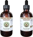 Extracto líquido libre de alcohol, Frankincense (Boswellia Serrata) Resistente seco Glycerite Hawaii Pharm Natural Herbal Suplemento 2x4 oz