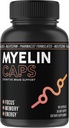 Myelin Caps, Brain Health Supplement, Focus Supplement " Brain Health with AlphaSize, Memory and Cognitive Function Support, Gluten-Free, Non-GMO (90 Capsules)