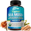 NutriFlair Organic Sea Moss 1600mg, 120 Capsules Plus Bladderwrack &amp; Burdock - Prebiotic Super Food - Immune System &amp; Digestive Health - Thyroid, Healthy Skin, Keto Detox, Gut