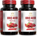 URIC Acid Support - Restaurar Confort Conjunto, Movilidad, Flexibilidad, Incluye cereza de Tart, Chanca Piedra, Extracto Celery " Turmeric - 2 Botellas 120 Capsules