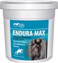 Kentucky Performance Endura-Max Electrolyte Suplemento para caballos, 5 libras