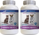 gato Bad Breath Treats - PROBIOTICS for Pets - Dogs Cats - Bad Gas and Breath Treats - Advanced Immune Boost - Los mejores probióticos para gatos - 2 Botellas (120 Treats)