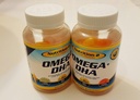 Omega Plus DHA ácidos grasos esenciales - ácidos grasos omega 3 - aceite de chia + DHA - Gummies - adolescentes, hombres, mujeres EFA Y suplementos de DHA