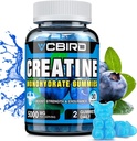 Creatine Monohydrate 5g Por Serving, No Sugar Creatine Supplements Support for Strength, Performance, Energy, Recovery, Gluten-Free Creatine for Women and Men, Blueberry Flavor (30 Gummies109)