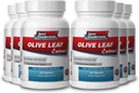 Sport Supplements Olive Leaf Extract Powerful Antioxidant, Immune System Health 500mg (6 Bottles, 360 Capsules)