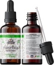 Forsythia Tincture, Extracto de Forsythia Orgánica (Lian Qiao, Forsythia Suspensa) Suplemento de Salud, Non-GMO en Glicina Vegetal Orgánica Presionada Fría 2 oz, 670 mg
