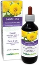 Naturalma Dandelion (Taraxacum officinale) Root and herb Alcohol-Free Tintura - 6.76 fl oz Liquid Extract in Drops - Herbal Supplement - Vegan
