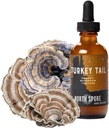 North Spore Organic Turkey Tail Tincture Silencioso Mushroom Suplemento para Immune Wellness Silencio Sustentably Grown " Confirmado para Potency ¦ Trametes Versicolor Extract ← Vegan, Non-GMO - 2oz