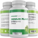 Insulina Plant Capsules (Costus Igneus), Suplemento 100% Natural, 360 Veggie Caps (2 Mes de Suministro) - Insulina Plant