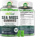 Mar Moss Gummies sin azúcar, Extra Strength Irish Moss Gel Suplemento con Iodine, Chlorophyll, ACV sin mancha, D3, Burdock Root, Bladderwrack para Immune, Digestivo, Skin, Hair, DetЁx, Vegan, 2Pack