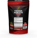 Fadogia Agrestis Extract Powder (Maximum Strength) Respuestas Athletic Performance, Strength, Drive ← Orgánica, Non GMO, Third Party Tested, Gluten Free Supplement tención 100g
