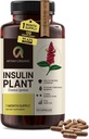 Premium Quality Costus Igneus (Insulin Plant) Capsules - Fácil de absorber 120 cápsulas Veggie (1 Month Supply) - Hecho en los EE.UU. - Incluido Programa completo de asistencia sanitaria