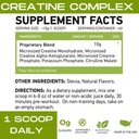 MFL Muscle Creatine tención 3 Formas de Creatina Micronizada TENED 10g TENIDO 0 Azúcar TENIDO Endulzado con Stevia TEN TODO-Natural ANTE 60 Servings (Natural)