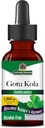 Nature's Answer Gotu Kola Herb Alcohol Free, 1-Fluid Ounce | Dietary Supplement | Supports a Healthy Immune System | Made in The USA | Gluten-Free, Vegan & Vegetarian