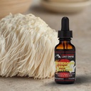 Lost Empire Herbs Mushroom Brain Spagyric Tincture ¦ Dual Extract of Lion's Mane, Cordyceps, Reishi, Oyster Mushrooms for Cognition (1 fl oz)