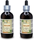 Psyllium (Plantago Ovata) Tintura, Extracto líquido de semilla seca orgánica (Marca: HerbalTerra, Proudly Made in USA) 2x4 fl.oz (2x120 ml)
