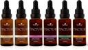 Terapia de plantas Orgánica Tinturas Principiante Set 30 mL Cada una de Ashwagandha orgánica, Ginseng asiático, Echinacea Blend, Elderberry, Lemon Balm &amp; Turmeric