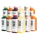 JRINK by Purée Intermediate Juice Cleanse, Cold Pressed Detox Drink with Organic 2 Day-Healthy Vegetable and Fruit Juice, Frozen Pressed Juice Cleanse, 12 Bottles, 16oz Cada uno