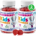 DR. MORITZ Elderberry Gummies for Kids and Adults (2 Pack) - Elderberry Vitamin C and Zinc for Kids Immune Support - Vegetarian, Gluten Free