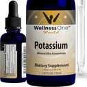 WellnessOne Ionic Potassium Supplement - Potassium Chloride Drops for Fast Absorption - Boost Immune System &amp; Muscle Function - USA Tested, Vegan, Non-GMO, Gluten Free, Unflavored, 1.67 fl oz