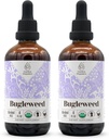 Bugleweed USDA Organic Alcohol-Free Extract ← Dietary Supplement, High-Potency Tincture, Respiratory System TEN Natural Certified Organic Bugleweed (Ze LAN, Lycopus Virginicus) Dried Herb 2x4 oz