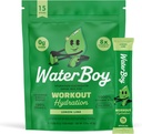 Waterboy Workout Hydration  2,960mg Sugar Free Electrolyte Powder Packets ← L-Glutamine + Vitaminas ← No Sugar, All Natural, Gluten Free ← 15 Bebidas Stick Mixes (Límina de limón)