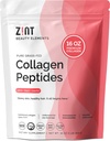 Péptidos de colágeno Zint Powder: Paleo & Keto Certified - Colágeno Granulado Tipos de hidrolizado I " III para la absorción mejorada - Proteína Hidrográfica enzimática para Hombres Mujer, 16 oz
